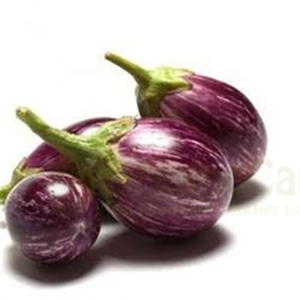 brinjal purple 250gm