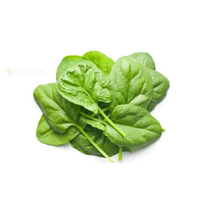 Baby Spinach 100gm