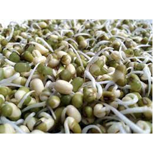 Beans Sprouts 100gm