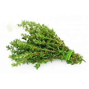 Herbs thyme 20gm