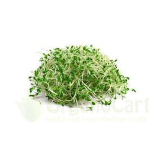 Alfalfa sprouts 50gm