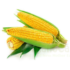 American sweet corn fresh 200gm